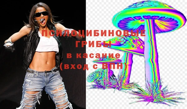 spice Алзамай