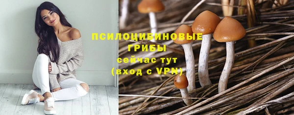 гидропоника Алексеевка