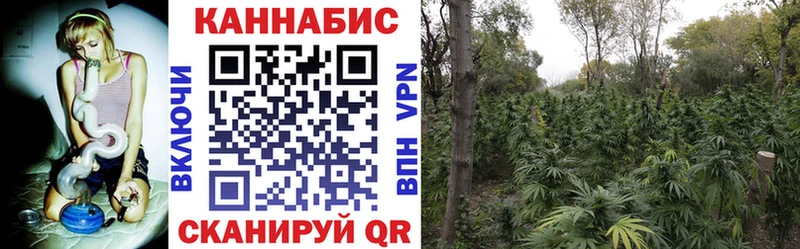 гидра как войти  Лысково  маркетплейс официальный сайт  Бошки марихуана марихуана 
